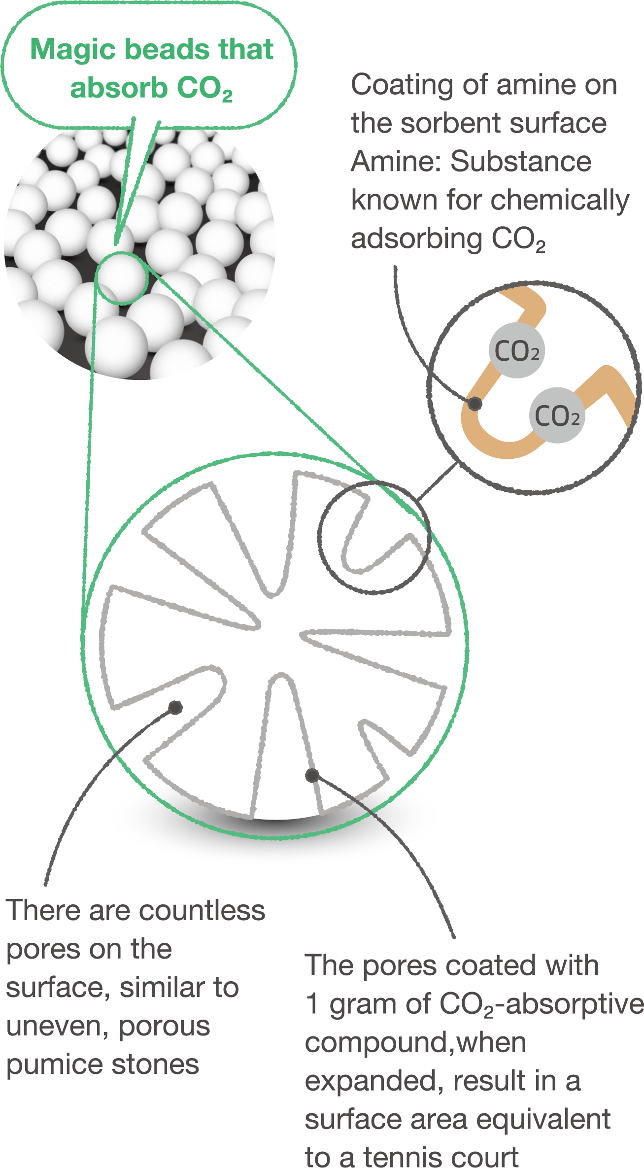 [Magic beads that absorb CO2] [There are countless pores on the surface, similar to uneven, porous pumice stones] [Coating of amine on the sorbent surface Amine: Substance known for chemically adsorbing CO2]